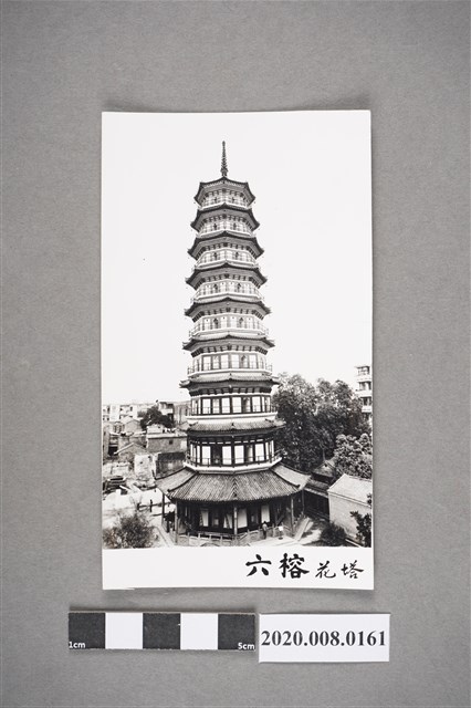 六榕花塔 (共3張)