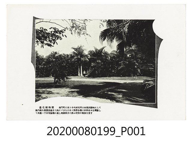 臺北植物園 (共2張)