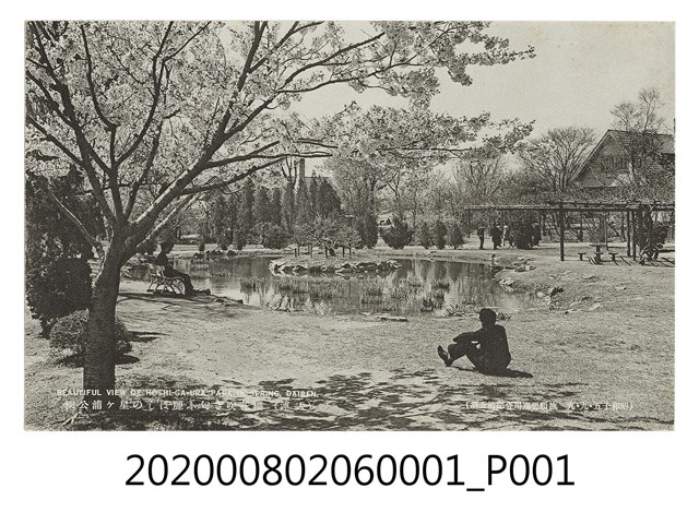 大連星ヶ浦公園春日風景 (共2張)