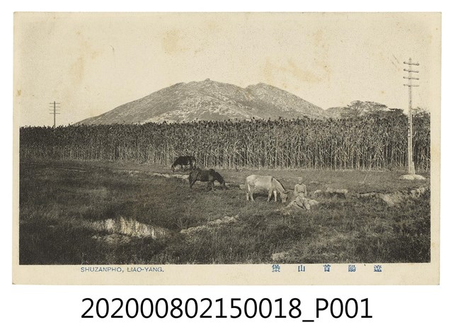 遼陽首山堡 (共2張)