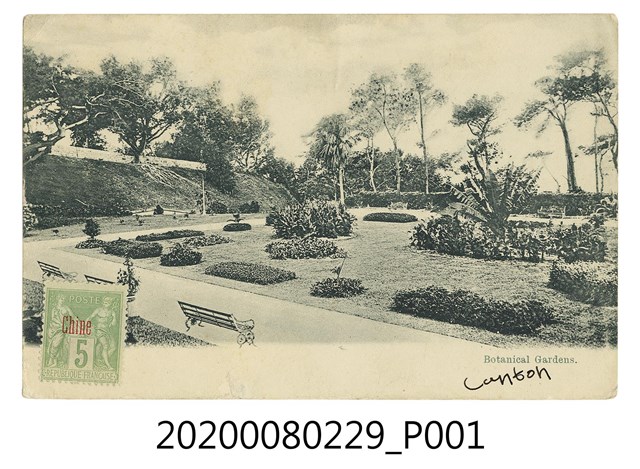 植物園一隅 (共2張)