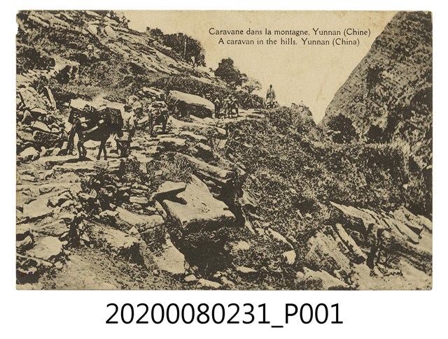 雲南山中的商隊 (共2張)