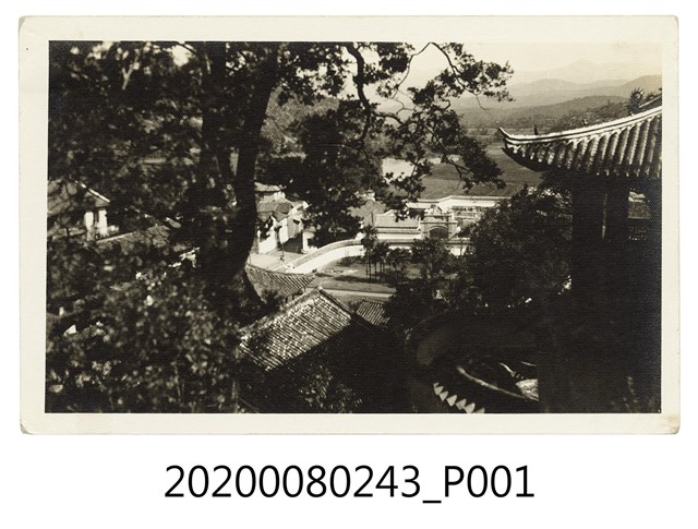 園內一隅 (共2張)