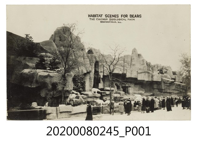 芝加哥動物園 (共2張)