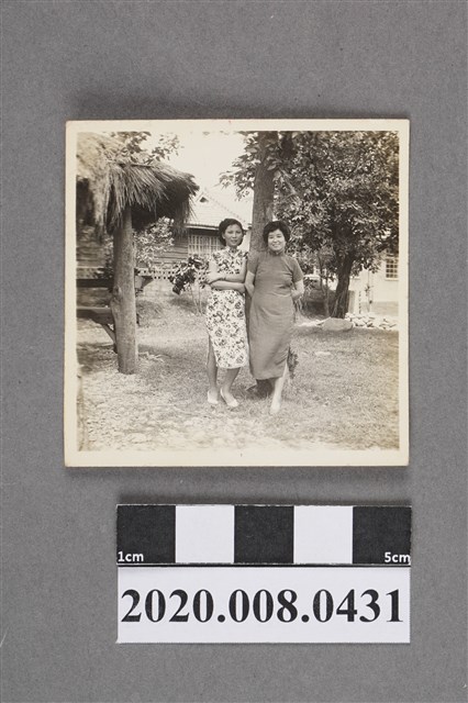 二女於樹下合照 (共2張)