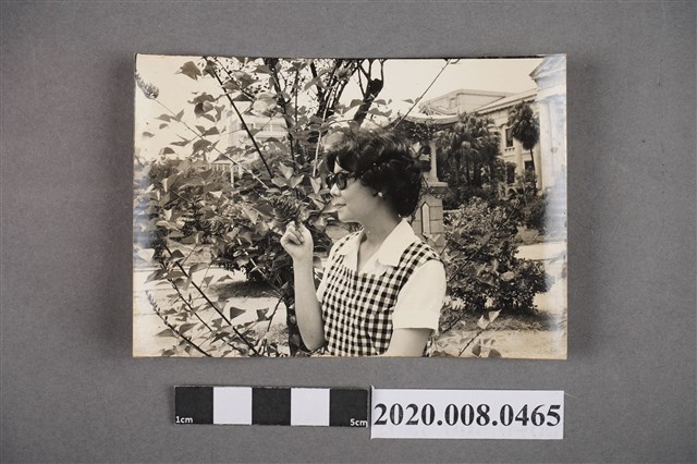 女子於樹間獨照 (共2張)