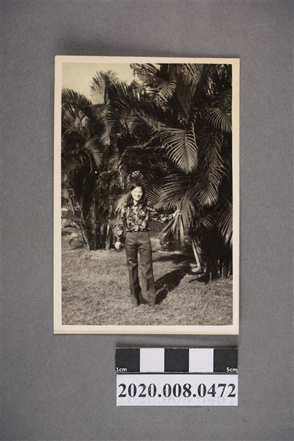 女子於樹前獨照 (共2張)