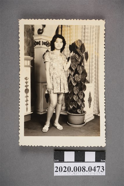 女子於假樹旁獨照 (共2張)