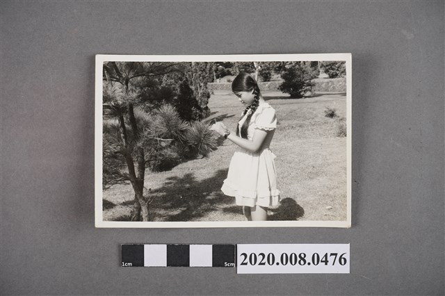 女子於針葉樹前獨照 (共2張)