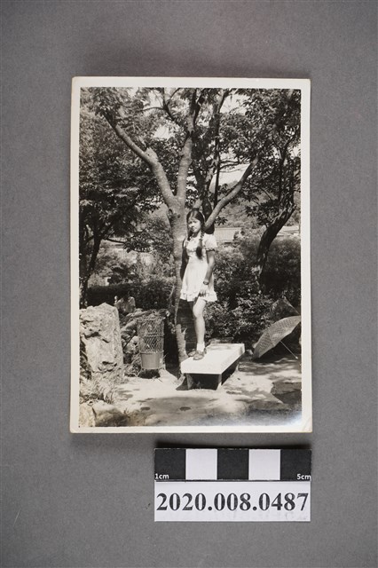 少女於樹下獨照 (共2張)