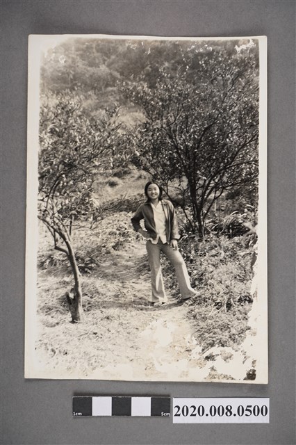 女子於樹林間獨照 (共2張)