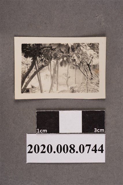 林間一景 (共2張)