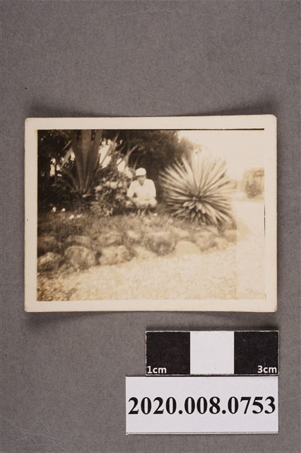 男子獨照 (共2張)