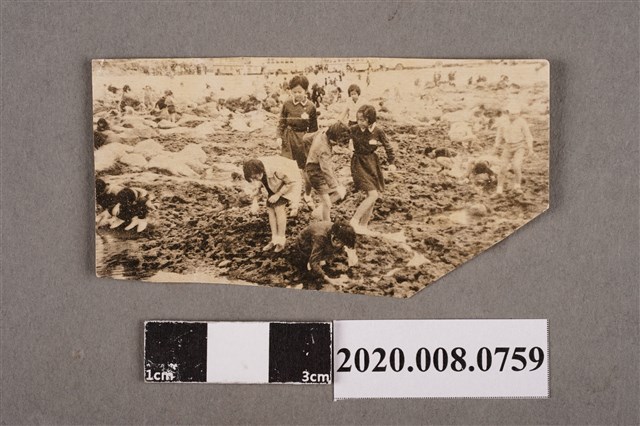 校外教學一景 (共2張)