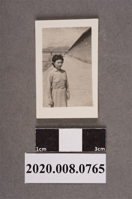 女子獨照 (共2張)