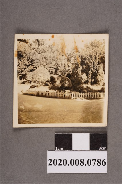 庭園一景 (共2張)