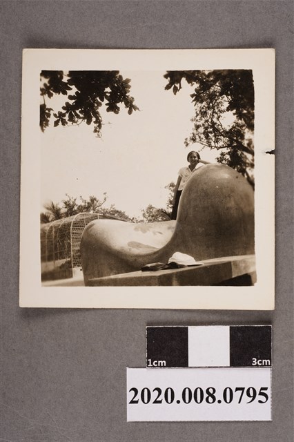 女子獨照 (共2張)