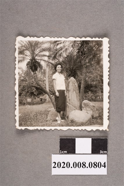 女子於樹下合照 (共2張)