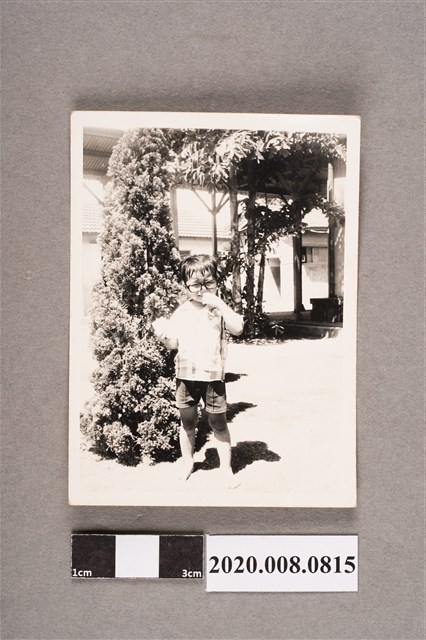 孩童獨照 (共2張)