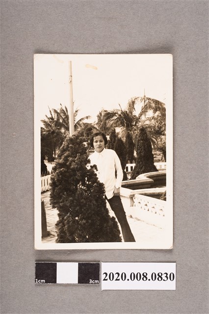 女子獨照 (共2張)