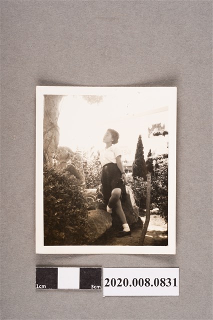 女子獨照 (共2張)