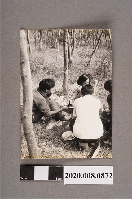 野餐一景 (共2張)