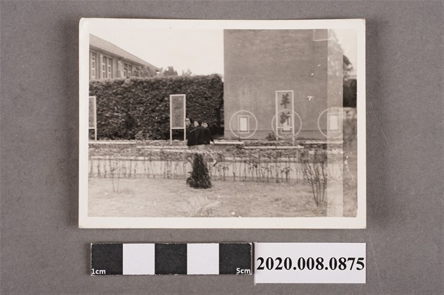 3名女子合照 (共2張)