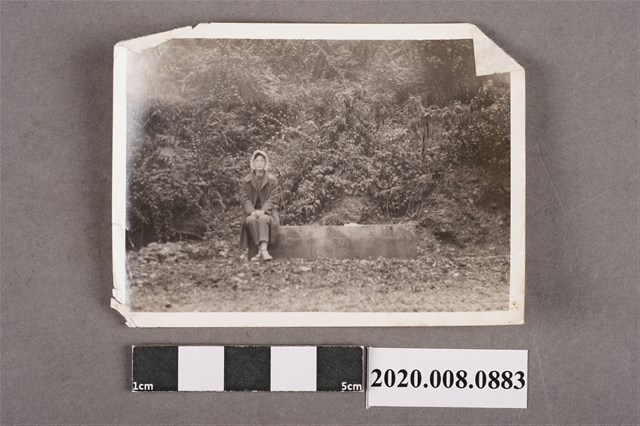 女子獨照 (共2張)