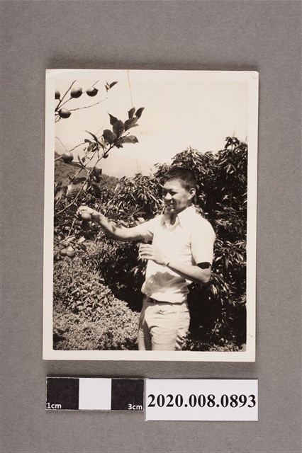 男子獨照 (共2張)