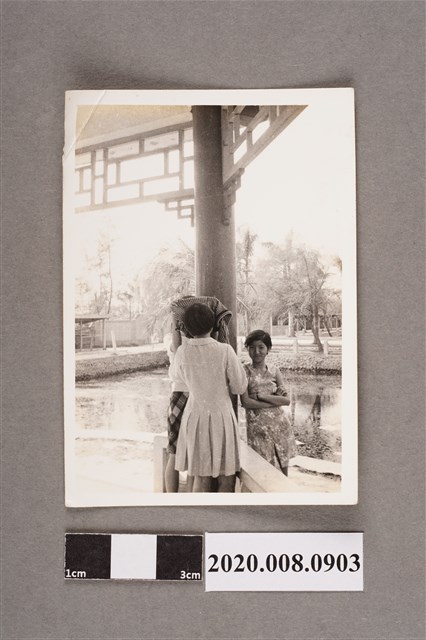 3名女子合照 (共2張)