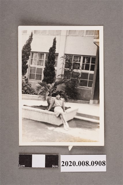 女子獨照 (共2張)