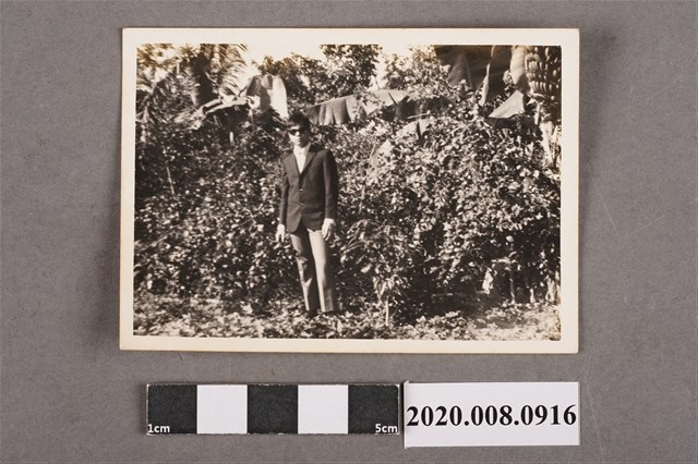 男子獨照 (共2張)