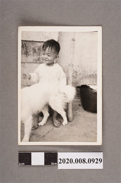 孩童與狗合照 (共2張)