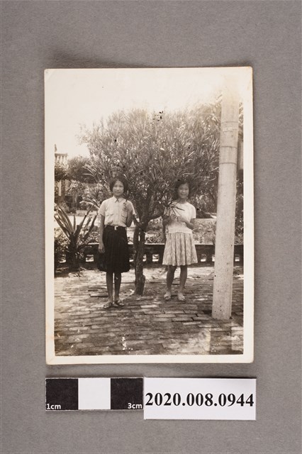 2名女子合照 (共2張)