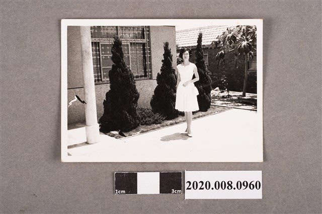 女子獨照 (共2張)