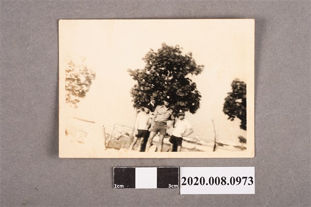 3名男子合照 (共2張)