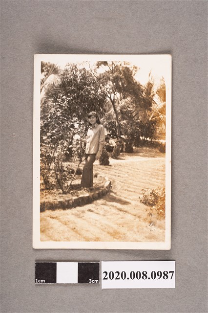 女子獨照 (共2張)