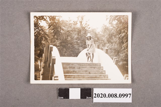 女子獨照 (共2張)