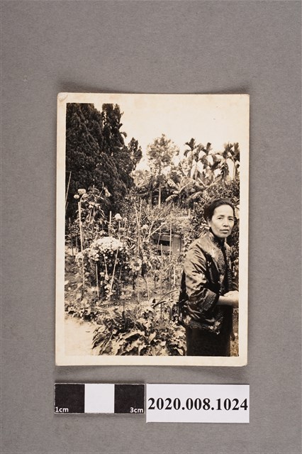 女子獨照 (共2張)