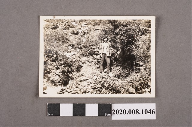 女子獨照 (共2張)