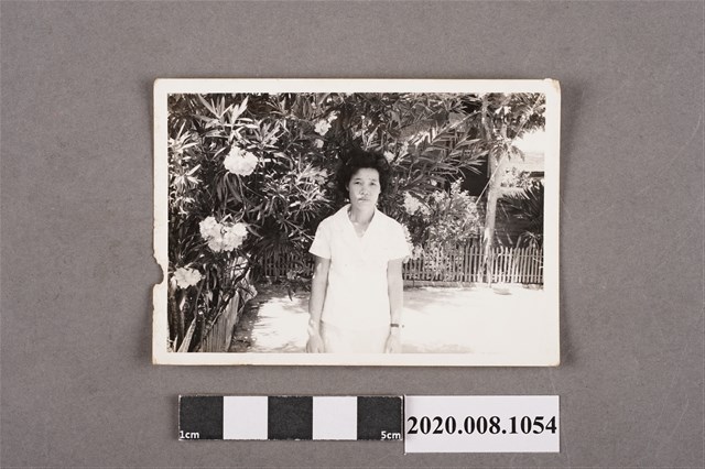 女子獨照 (共2張)