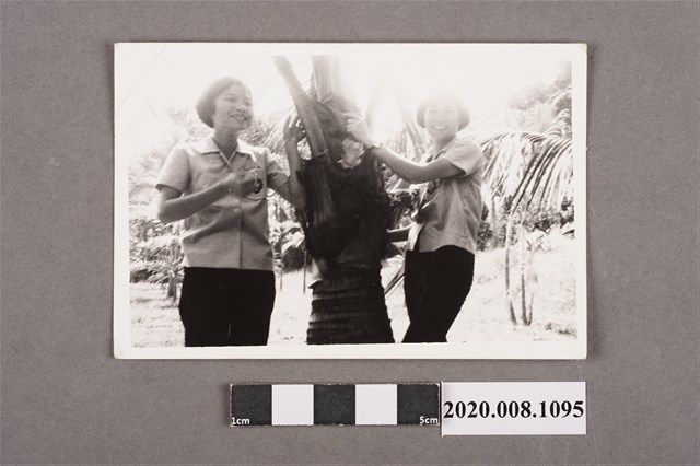 2名女子合照 (共2張)