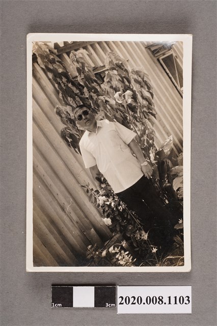 男子與花草獨照 (共2張)