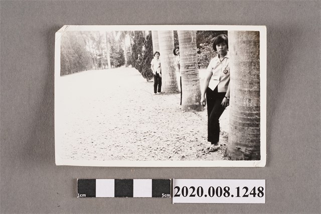 3名女子於樹旁合照 (共2張)