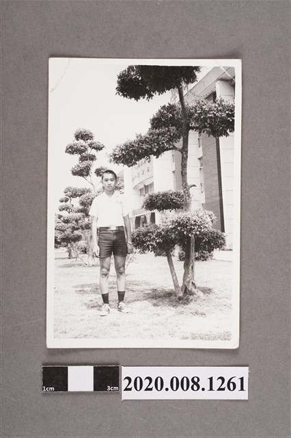 男子於樹旁獨照 (共2張)