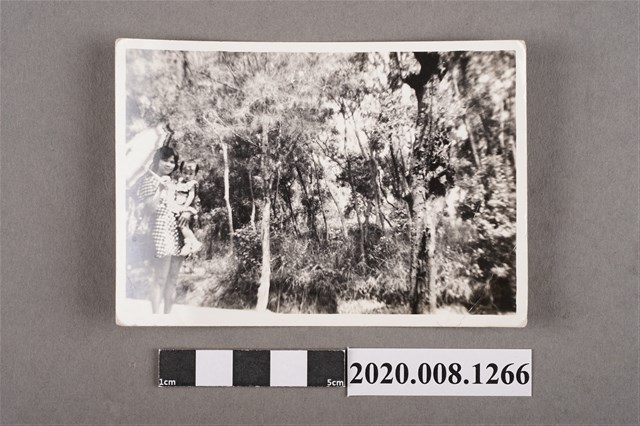 1對母女撐傘於樹下合照 (共2張)