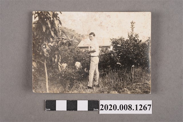 1名男子於果園獨照 (共2張)