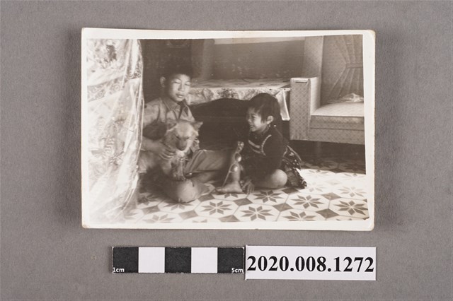 2名小孩與狗同樂合照 (共2張)