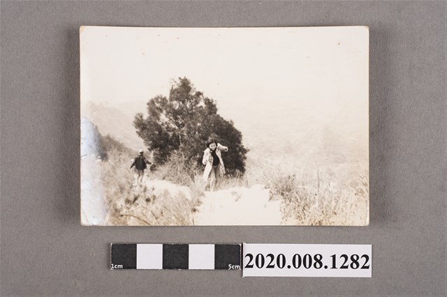 女子於叢間獨照 (共2張)