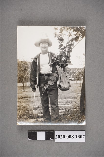 男子於樹下獨照 (共2張)